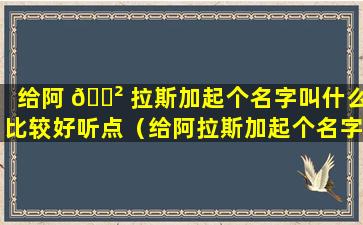 给阿 🌲 拉斯加起个名字叫什么比较好听点（给阿拉斯加起个名字叫什么比较好听点的）